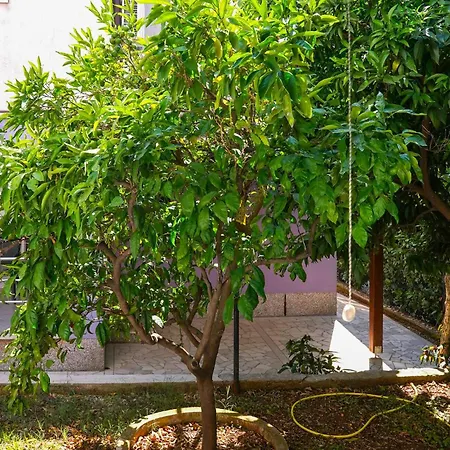 Gorgeous In With View