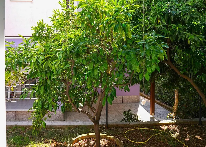 Gorgeous In With View